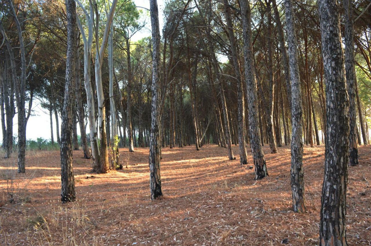 Oasi Del Governatore Apartment Squillace Bagian luar foto